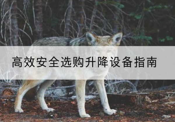 金门升降货梯厂家推荐-*安全选购升降设备指南