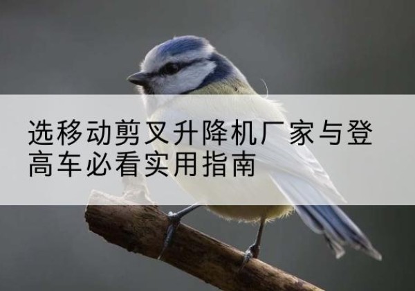 金门电动升降机厂家-选移动剪叉升降机厂家与登高车必看实用指南